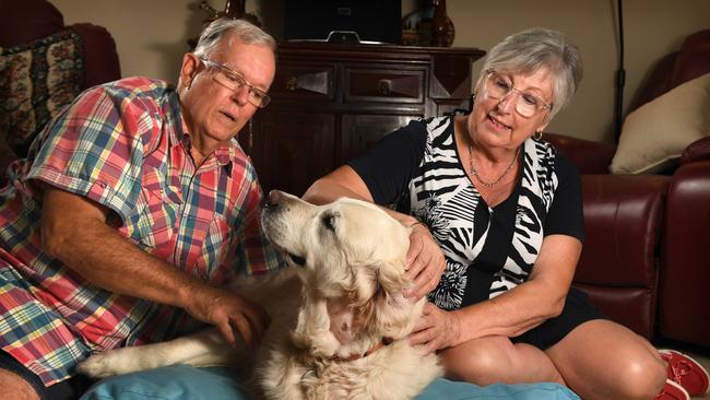 John and Sue Lockier with their nine-year-old old Golden Retriever Scarlett who was viciously attacked by another dog off lead in a park in Murray Bridge. Picture: Tricia Watkinson