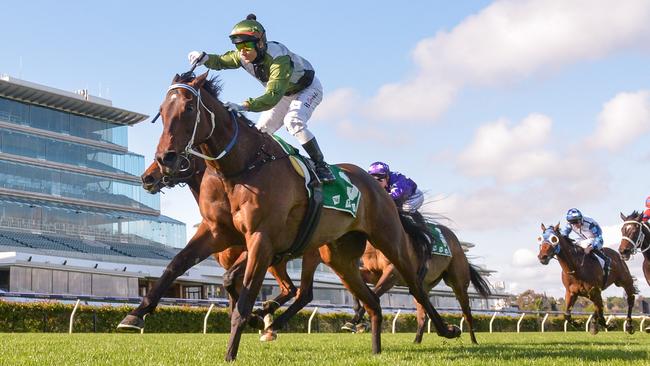 Despite drawing the widest gate, Incentivise is still the top pick in the Caulfield Cup. Picture: Getty Images