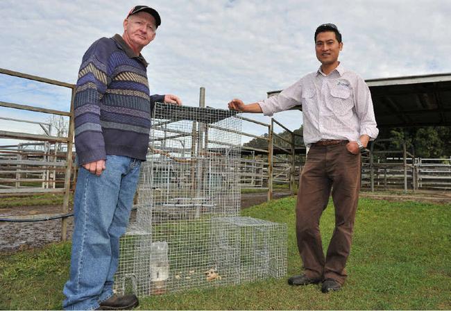 TRAP SETTING: Volunteer Charlie Knight (left) and Anton Nguyen, Lismore Council environ. Picture: Mireille Merlet-Shaw