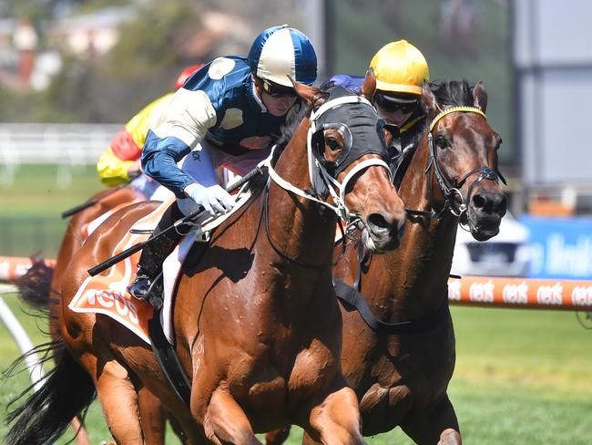 Muramasa ridden by Daniel Moor wins the Neds Coongy Cup at Caulfield Racecourse on October 18, 2023 in Caulfield, Australia. (Photo by Pat Scala/Racing Photos via Getty Images)