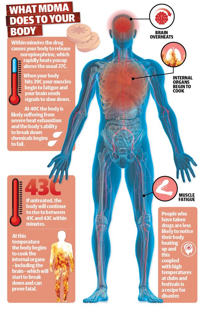 What MDMA does to your body