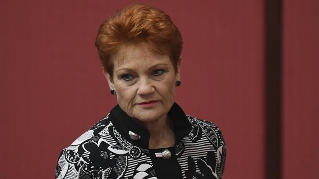 One Nation party leader Pauline Hanson in the Senate chamber at Parliament House in Canberra.