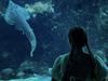 ‘Small but powerful act’: Island’s hands-on conservation