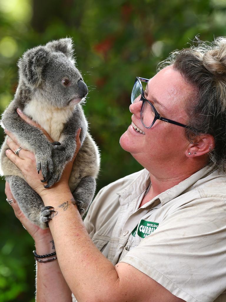 Currumbin Wildlife Sanctuary's Sarah Eccleston with Merlin. Picture: Adam Head