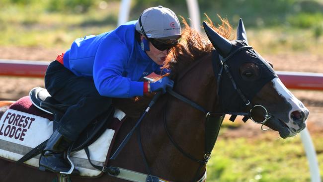 Admire Deus is out of the Caulfield Cup. Picture: Getty Images