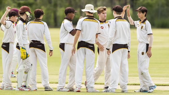 Padua celebrate a wicket in the AIC Cricket game between Padua College and St Peters Lutheran College in Banyo, Saturday, February 22, 2020 (AAP Image/Richard Walker)