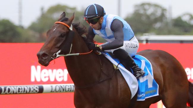 Bandersnatch is looking to cause a boilover in the Memsie Stakes. Picture: Jeremy Ng / Getty Images