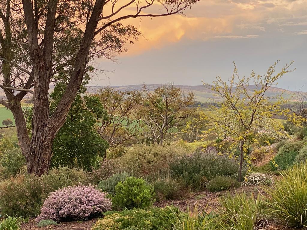 Artist’s treechange in Seppeltsfield, Barossa Valley, SA | The Australian