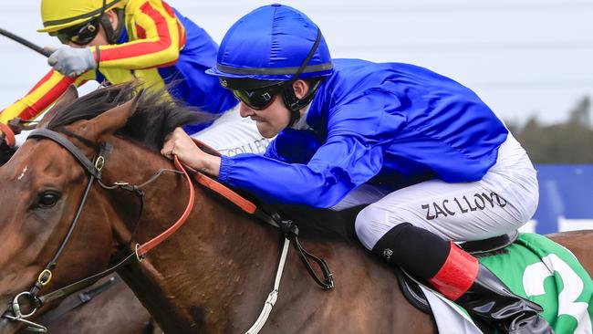 Apprentice Zac Lloyd rides Vientiane for James Cummings. Picture: Getty Images