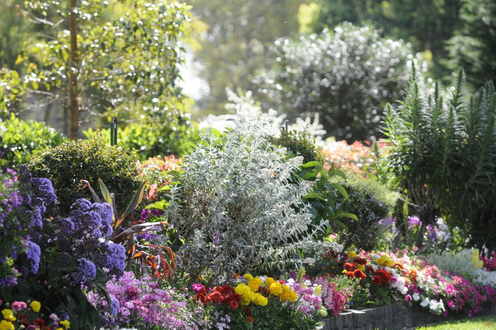 Kevin and Dianna Drew&#39;s Highfields garden has been named The Chronicle Garden Competition&#39;s 2013 Reserve Grand Champion. Picture: Bev Lacey