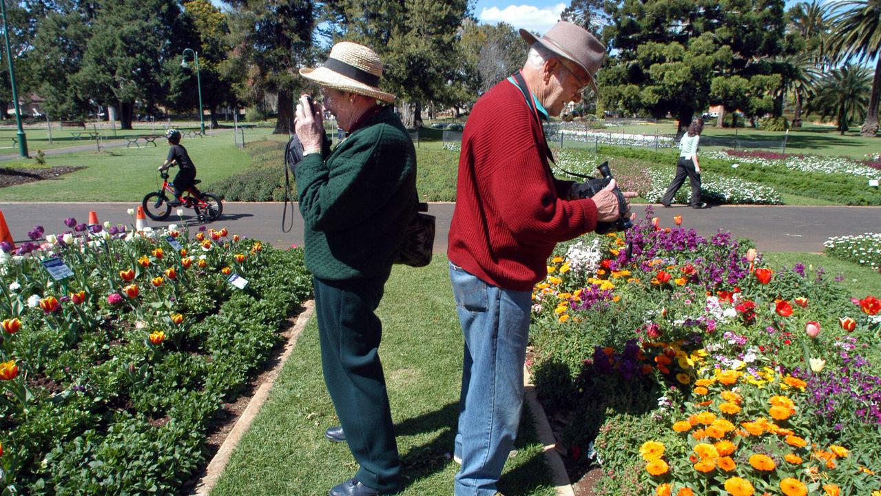 Carnival of Flowers – Elaine and Ross Aiken from Sydney using their cameras in Queens Park Botanical Gardens, Toowoomba. pic: David Martinelli