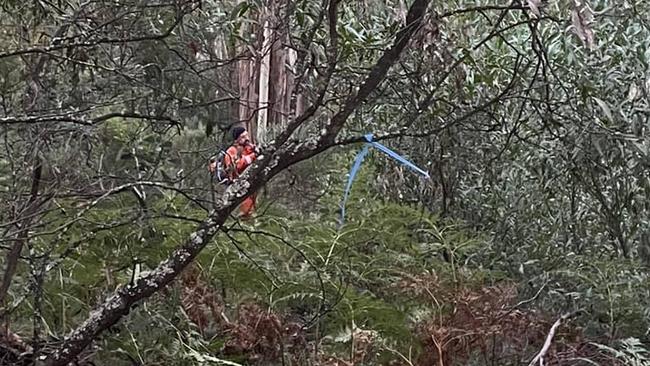 Emergency services attend a remote high angle rescue east of Melbourne after two dogs plummeted 11 metres deep into a mineshaft.