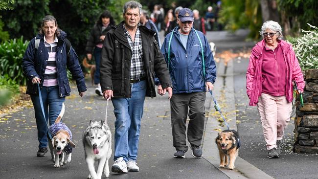 Million Paws Walk at Adelaide Botanic Gardens. Picture: Brenton Edwards