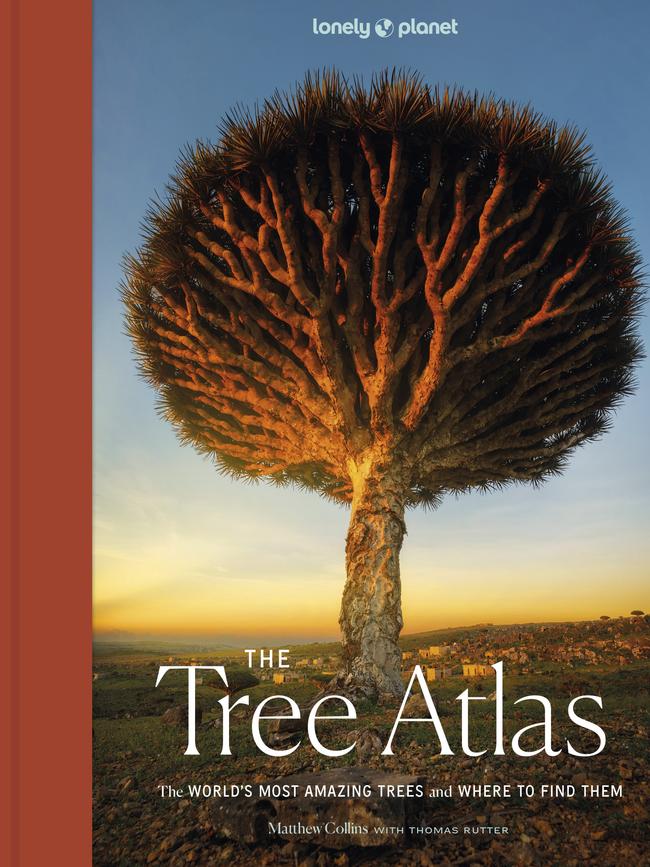 The Tree Atlas by Matthew Collins.