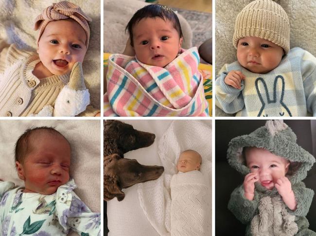 Six of the babies leading SA's cutest winter baby competition. Pictures: Supplied