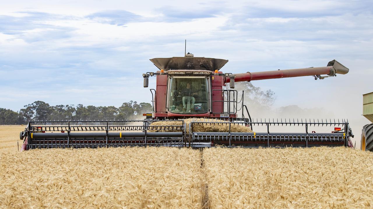 Wheat and canola trending higher