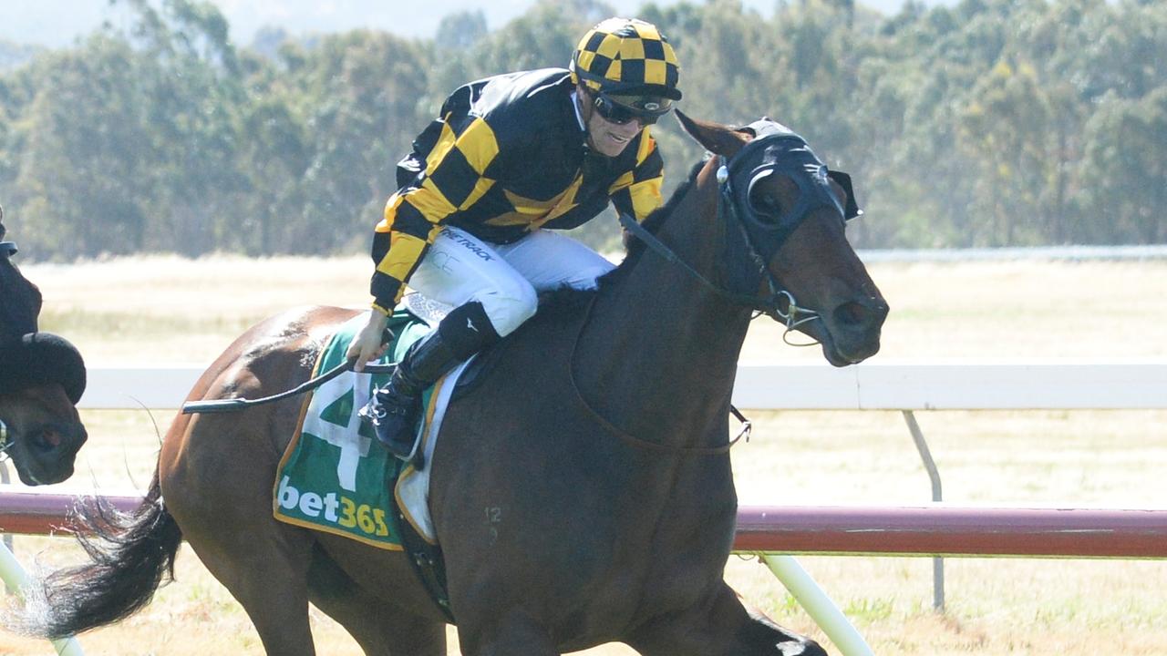 The in-form Grand Pierro is expected to run well at double figure odds in Saturday’s Listed Pakenham Cup. Picture: Ross Holburt / Racing Photos