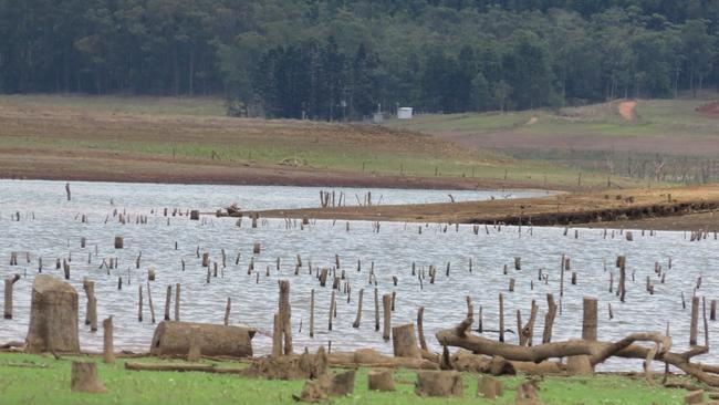 These normally inundated dead trees and deadwood at Lake Tinaroo near Tinaburra were exposed forming an interesting vista for sightseers in 2017. David Anthony photo.