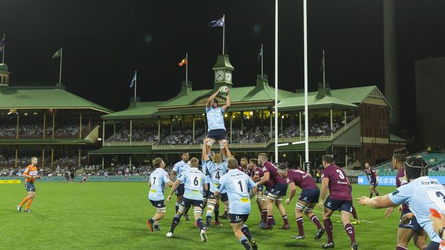 The Waratahs win a lineout during last year’s Super Rugby match against the Queensland Reds at the SCG