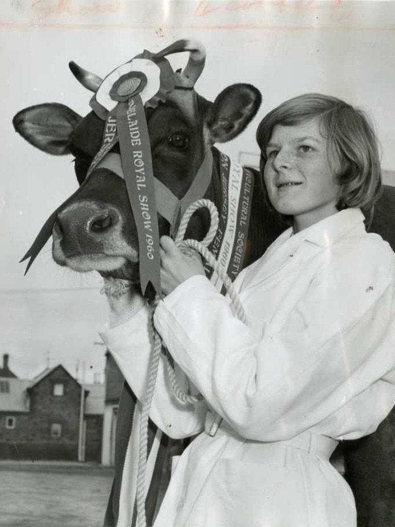 Royal Adelaide Show, 1960. Miss Virginia Jay with the champion Jersey cow, Alexandra Bells Junnette, entered by Mr. A. Kelly, of Strathalbyn.