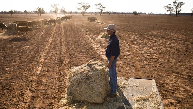 Farmers are worried they won’t survive the summer.