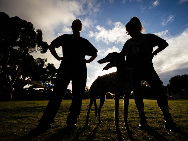 Vet nurses have spoken out about how horrified they are that vet Marcus Tan has been allowed to keep practising after he was disciplined by SACAT for multiple vile acts involving animals.Picture: Tom Huntley