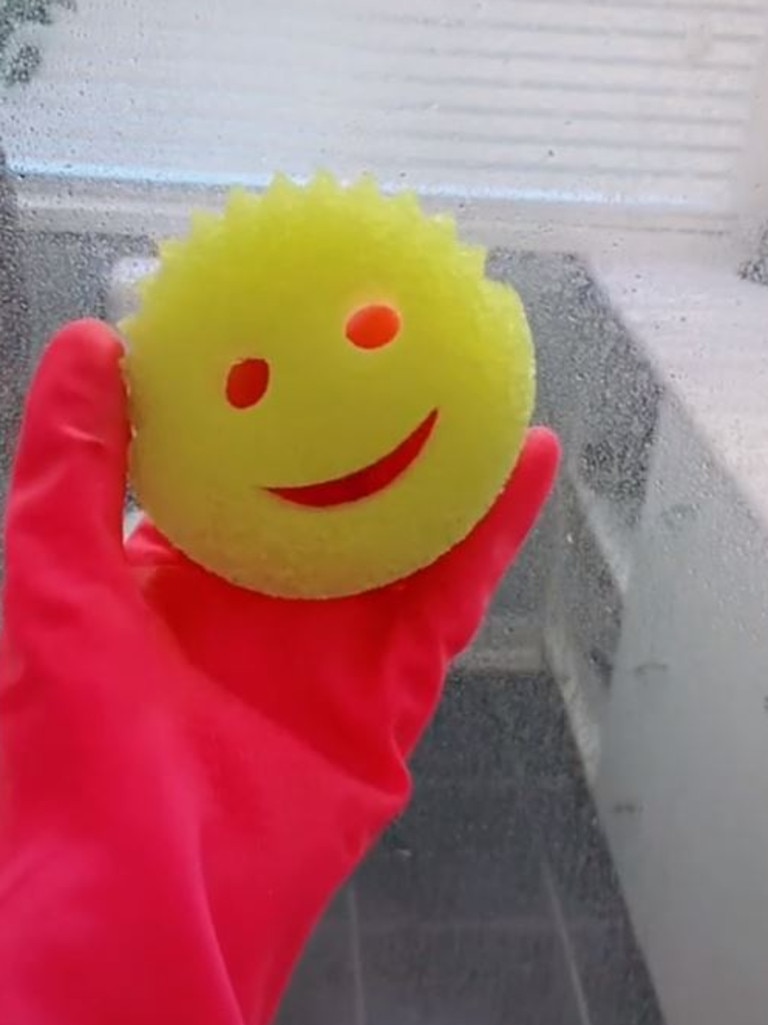 … And her Scrub Daddy sponge. Picture: TikTok/cleanswithbeth