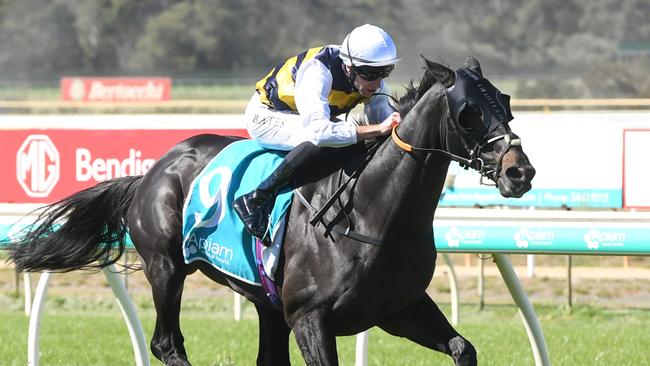 Sea King (GB) ridden by Declan Bates wins the Apiam Bendigo Cup at Bendigo Racecourse on October 30, 2024 in Bendigo, Australia. (Photo by Brett Holburt/Racing Photos via Getty Images)