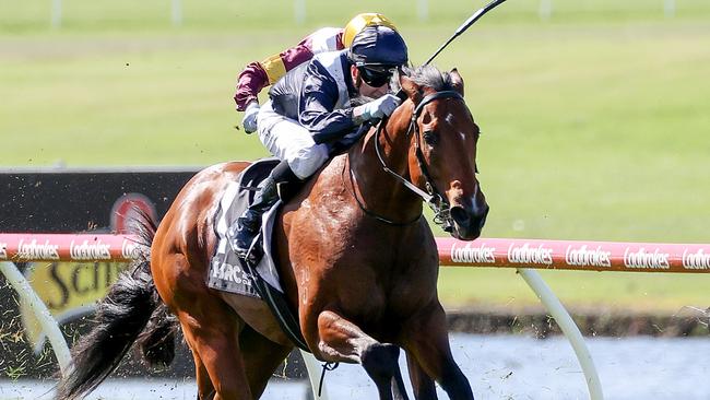 I Am Unstoppable will take on odds-on favourite Imperatriz in Saturday’s Group 1 Lightning Stakes at Flemington. Picture: Racing Photos via Getty Images