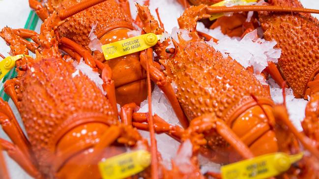 The country’s seafood industry has been hit hard by import tariffs imposed by Chinat. Picture: Supplied