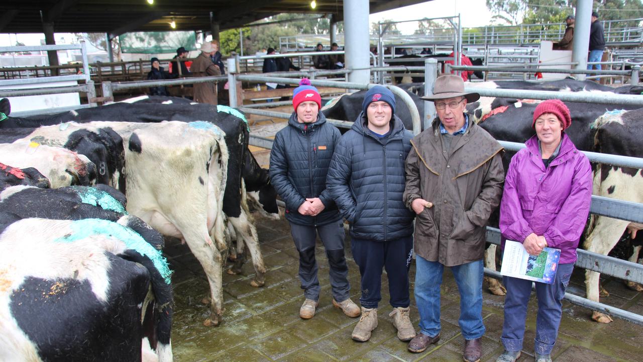 Dairy sales southwest Victoria: Buyers chase in-milk PTIC lots | The ...