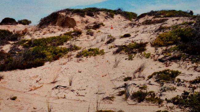 Tyre tracks in sand dunes at Salt Creek. Source: Supreme Court