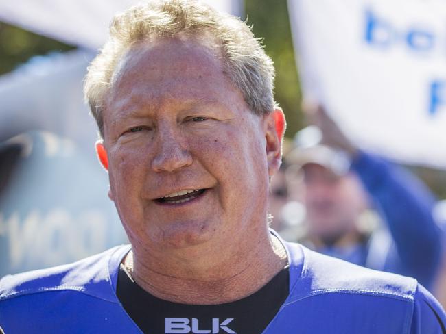 Force backer Andrew Forrest.