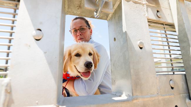 Clarence Correctional Centre manager inmate services Cherie Goodwin with assistance pup Clarence. Picture: Dylan Coker.