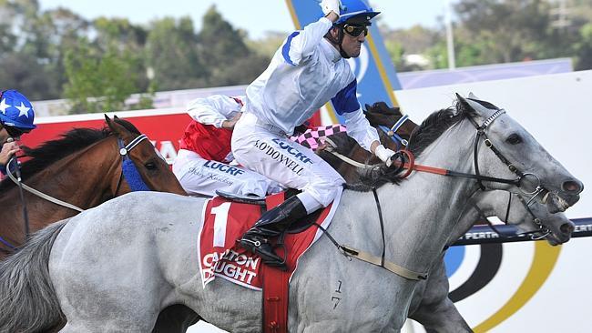 Dual Railway Stakes winner Luckygray clashes again with Ihtsahymn at Ascot tomorrow. Picture Graeme Collopy