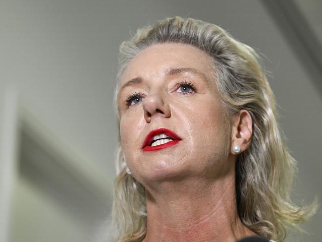 Senator Bridget McKenzie said flight delays and cancellations were expensive and stressful. Picture: NewsWire / Martin Ollman