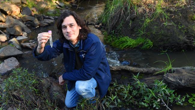 Researchers led by scientist Rhys Coleman have been using new technology to map biodiversity in waterways around the Yarra Ranges. Picture: Josie Hayden