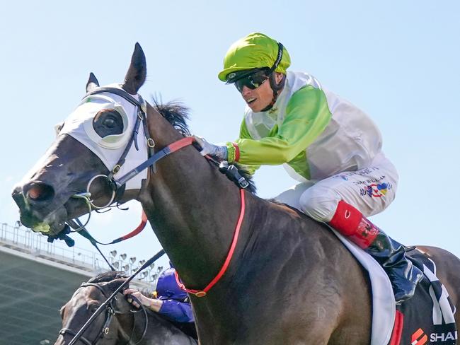 Typhoon Harmony ridden by Craig Williams wins the Sharp Extensive IT Handicap at Moonee Valley Racecourse on December 31, 2022 in Moonee Ponds, Australia. (Photo by Scott Barbour/Racing Photos)