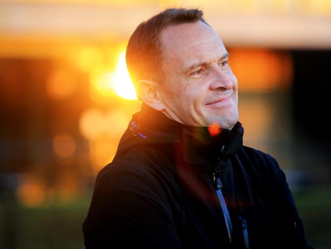 Trainer Chris Waller after watching Winx at trackwork at Rosehill racecourse. pic Mark Evans