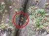 Naked find 91 metres below ground