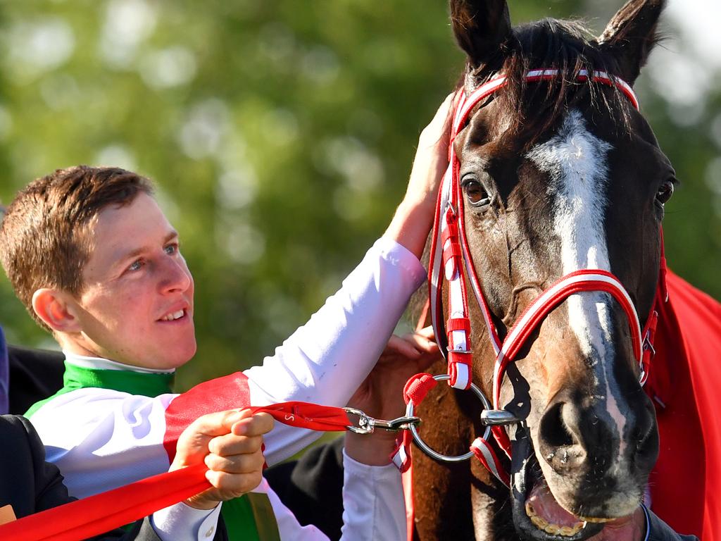 Lane rode Lys Gracieux to win the Cox Plate and the Arima Kinen in Japan. Picture: AAP