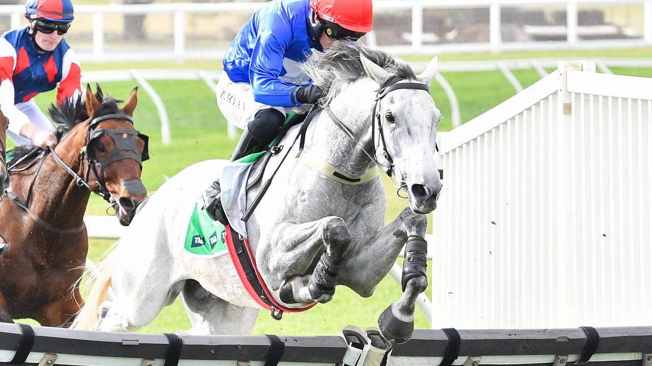Jockey Tom Ryan said The Cunning Fox cleared the hurdles like a cat. Picture: Pat Scala/Racing Photos via Getty Images