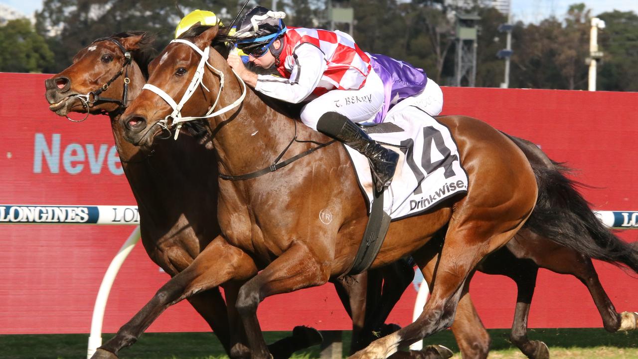 Waterford has been a big firmer in the final event at Randwick. Picture: Grant Guy