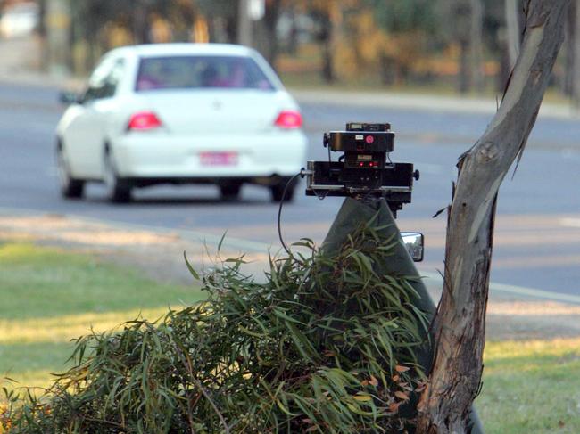 SPEED CAMERA AT ANZAC HIGHWAY, CITY (NEAR THE PARKLAND NETBALL COURTS) PARTIALLY COVERED BY LEAVES.