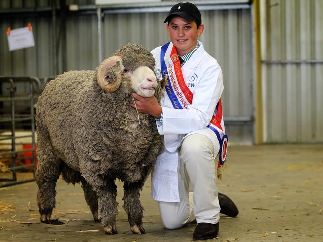 Lauchie Brumpton, of Mitchell, Queensland, won the National Young Judges Championship for merino sheep.