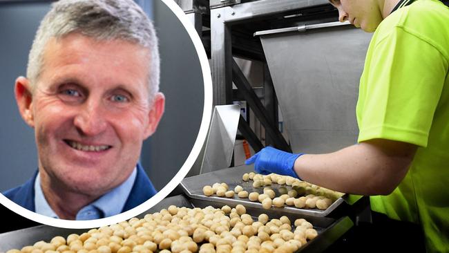 Marquis Macadamias Northern Rivers Processing plant with CEO Charles Cormack insert.