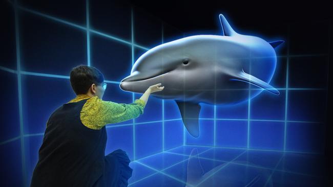 Holographic dolphin, one of the images that will be in the show.