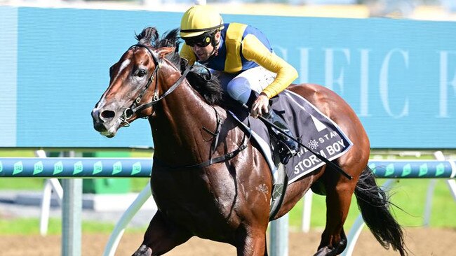 Coolmore are on the verge of purchasing a controlling share in exciting Magic Millions winner Storm Boy. Picture: Grant Peters/Trackside Photography