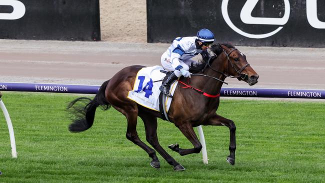 El Patroness impressively wins the Super Impose Stakes. Picture: George Salpigtidis – Racing Photos via Getty Images