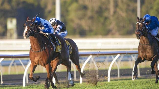 WELL RUN: Jockey Damian Browne steers Crack Me Up to the line. Picture: Michael Mcinally Photography